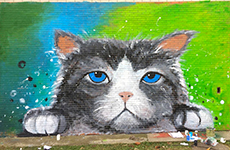 贝伦斯精品案例