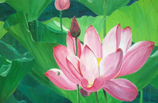 贝伦斯精品案例