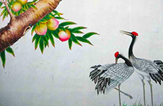 贝伦斯精品案例