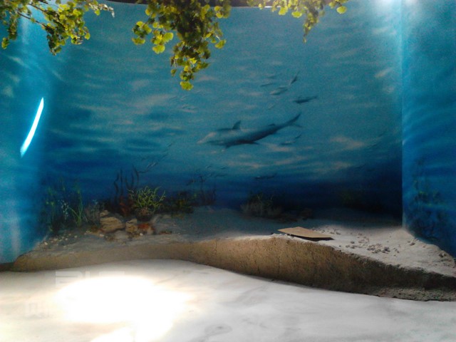 南通如皋博物馆