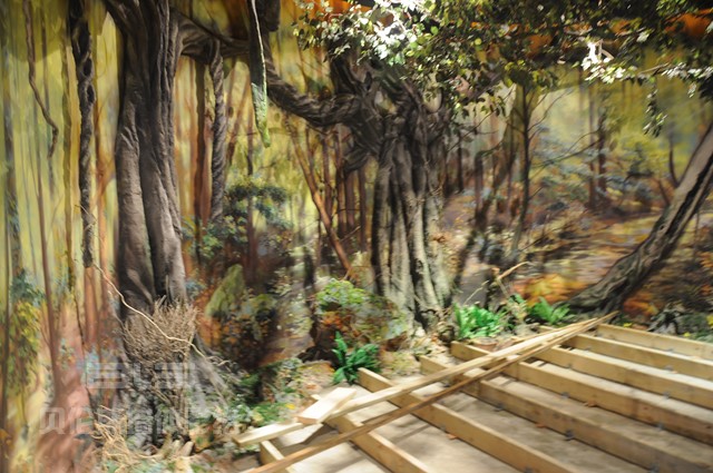 穹窿山万鸟园科普馆 (15)