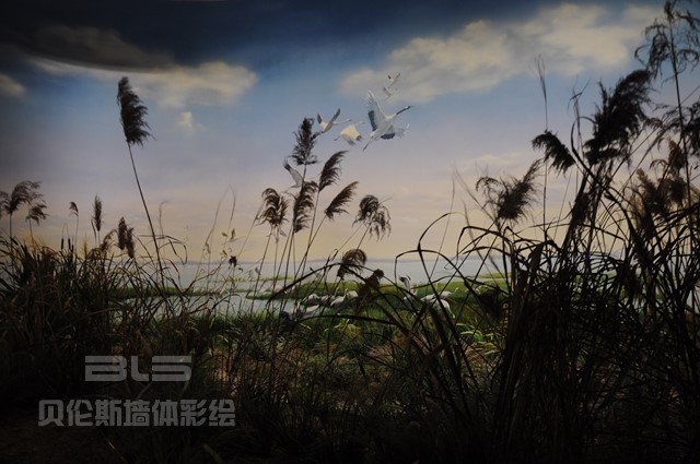 穹窿山万鸟园科普馆 (2)